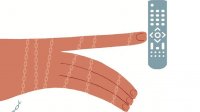 1551075086578.png