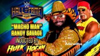 Randy-Savage-WWE-Hall-of-Fame-2015-hULK-HOGAN.jpg