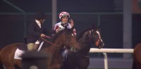 MEYDAN-1 M (Sunsetvine)_1006 3754_V_14400_20150328_200622.jpg