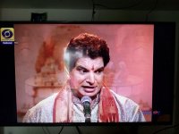WhatsApp Image 2017-04-01 at 08.15.19.jpeg