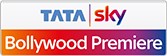 Bollywood-Premiere.jpg