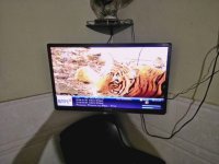 IMG_20170808_202953.jpg