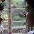 siddhant